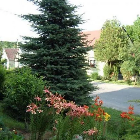 Home- Galoca