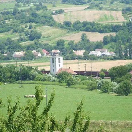 Home- Galoca Helesfa